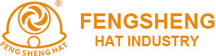 Shenzhen Fengsheng Topi Industry Co, Ltd.